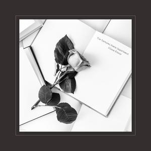 男女床上啪啪啪视频免费观看
